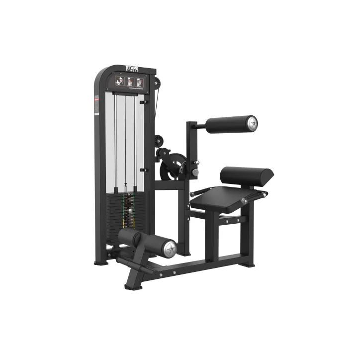 ABDOMINAL CRUNCH / DORSAL COM CARGA